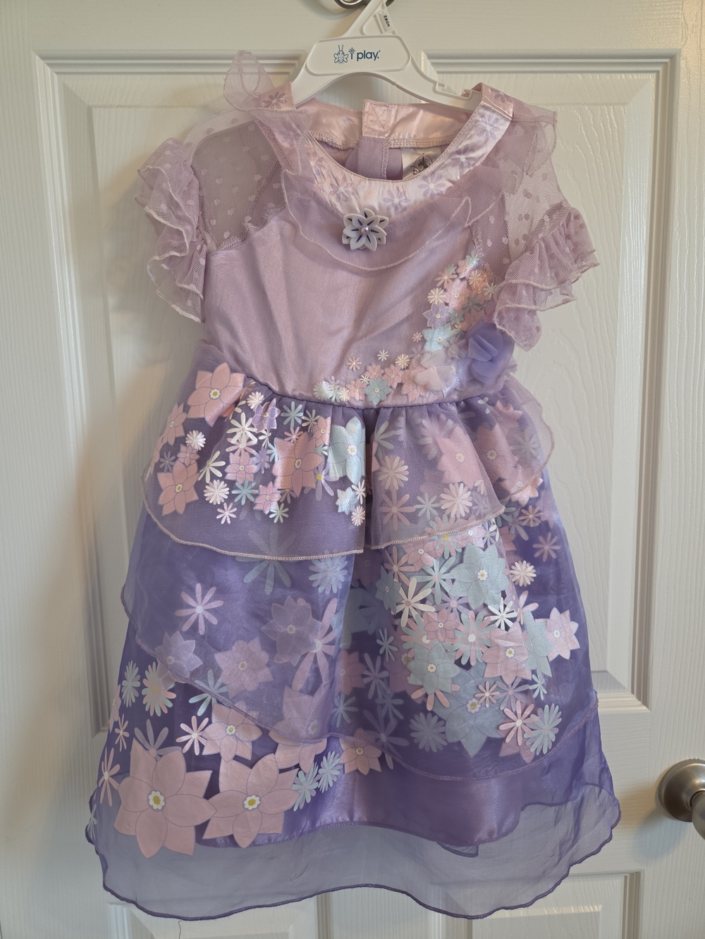 Disney Encanto Costume Dress